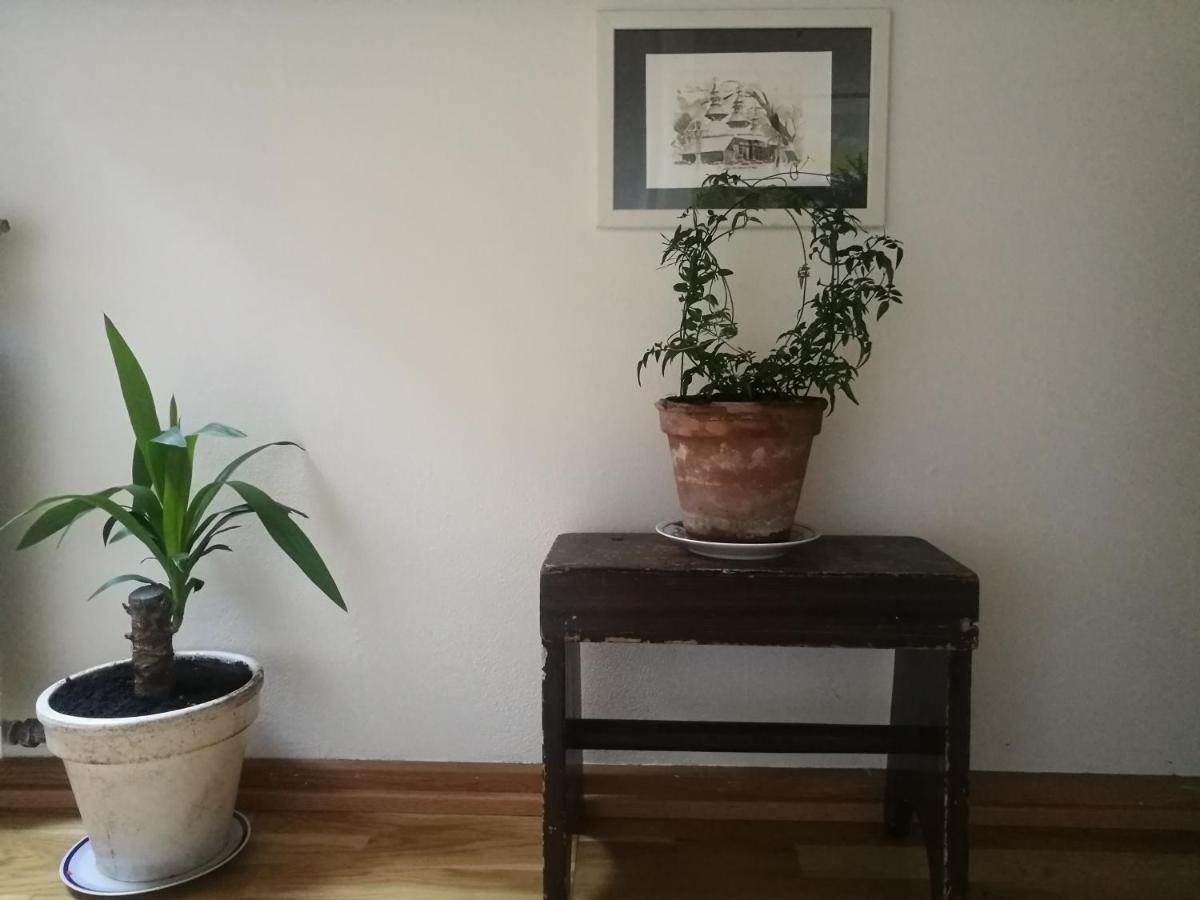 Green Vagon, Farm B&B Rooms For Rent Hjorring Bagian luar foto